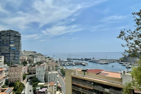 Magnique Triplex Penthouse avec vue sur le port Hercule - 1