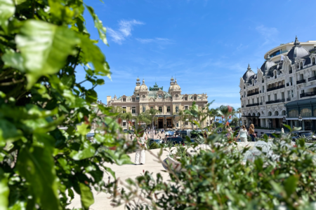 Представляя блеск и гламур: представляет 63-й Телевизионный фестиваль в Монте-Карло