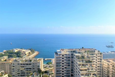 Monaco Properties Ultimate Guide to Luxury Waterfront Living in Larvotto and Fontvieille, Monaco